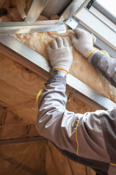 Best Insulation Installation Services in , ID