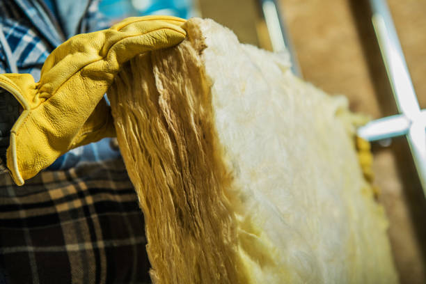 Best Insulation Installation Services in , ID