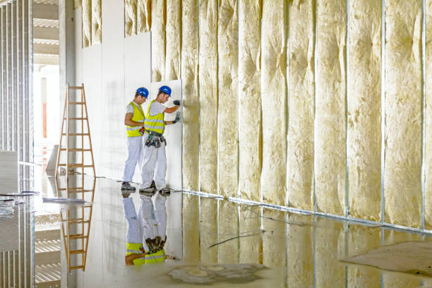 Best Insulation for Specific Applications in , ID
